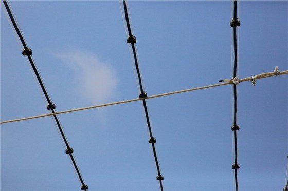 上海國(guó)際傳媒港