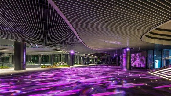 央視上海國(guó)際傳媒港亮化工程3-信達(dá)電通