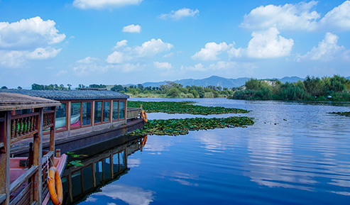 西安城市生態(tài)公園 景觀亮化設(shè)計(jì)燈具的布置原則