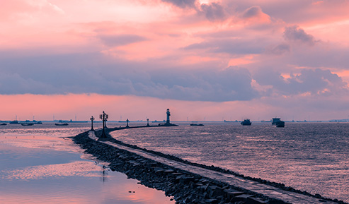 仁壽濕地公園燈光秀