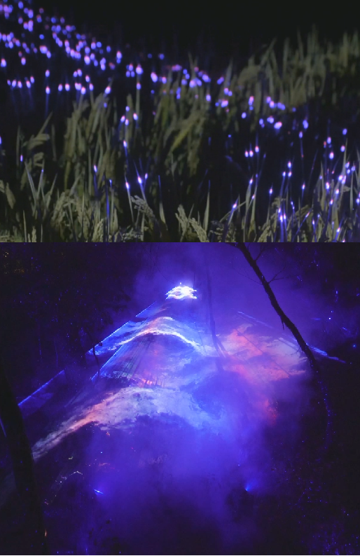 夜景亮化設(shè)計(jì)